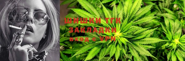 прущие крисы Надым