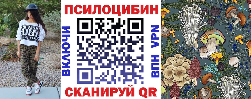 Псилоцибиновые грибы Psilocybe  цены наркотик  МЕГА зеркало  Новосибирск 
